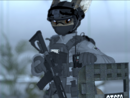 CTSFO NARDO - assault class
