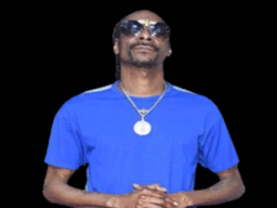 Snoop Dogg （Flick）