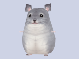 256Chinchilla