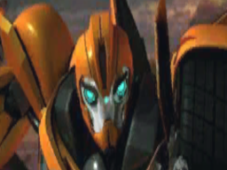 tfp bumblebee