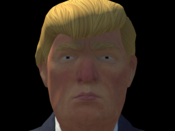 Donald Trump （The Ship）