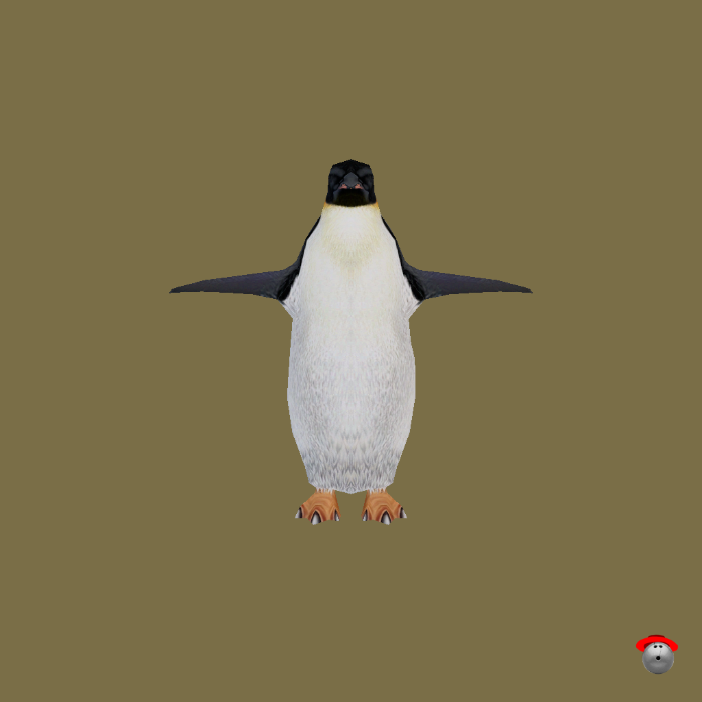 Emperor Penguin - Front