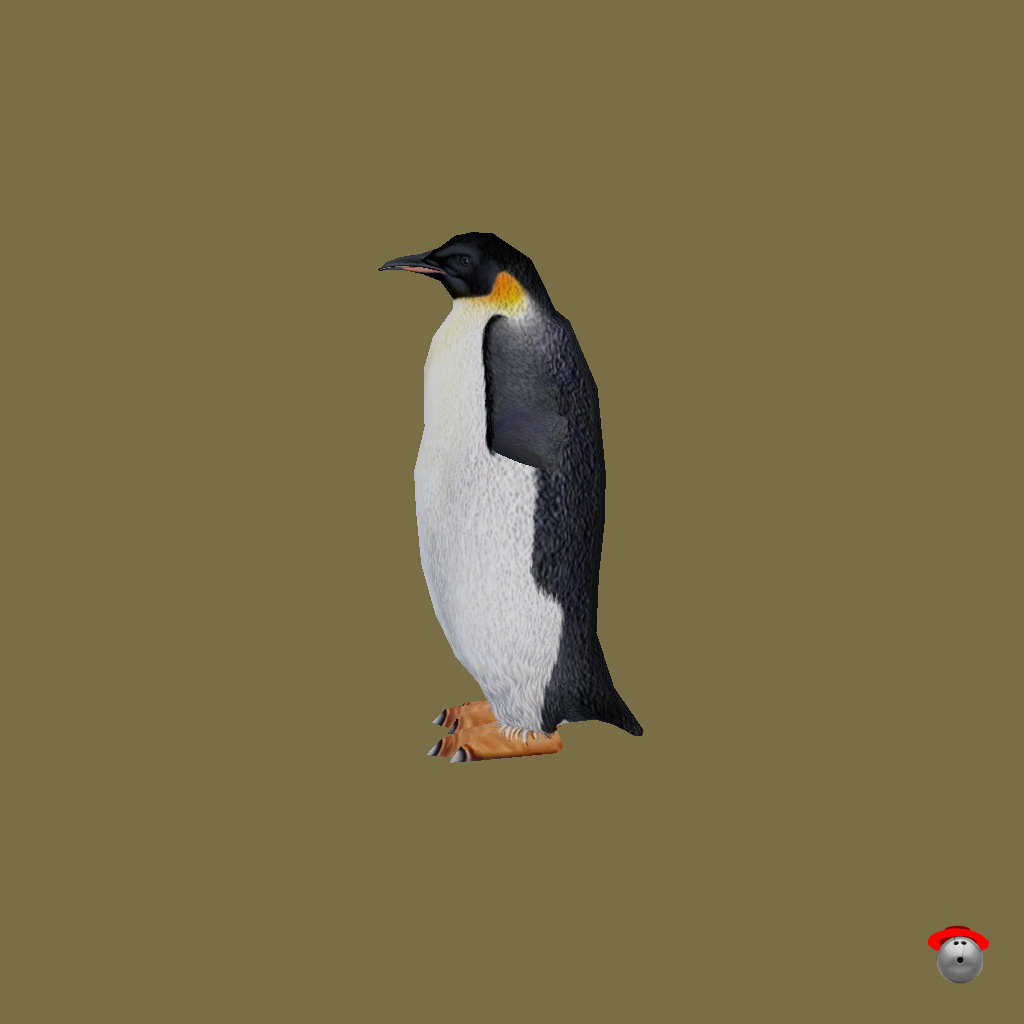 Emperor Penguin - Left