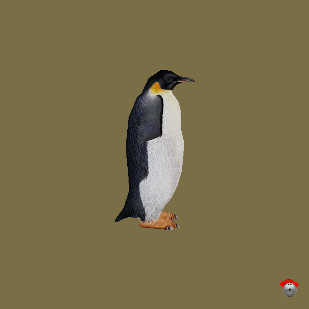Emperor Penguin - Right