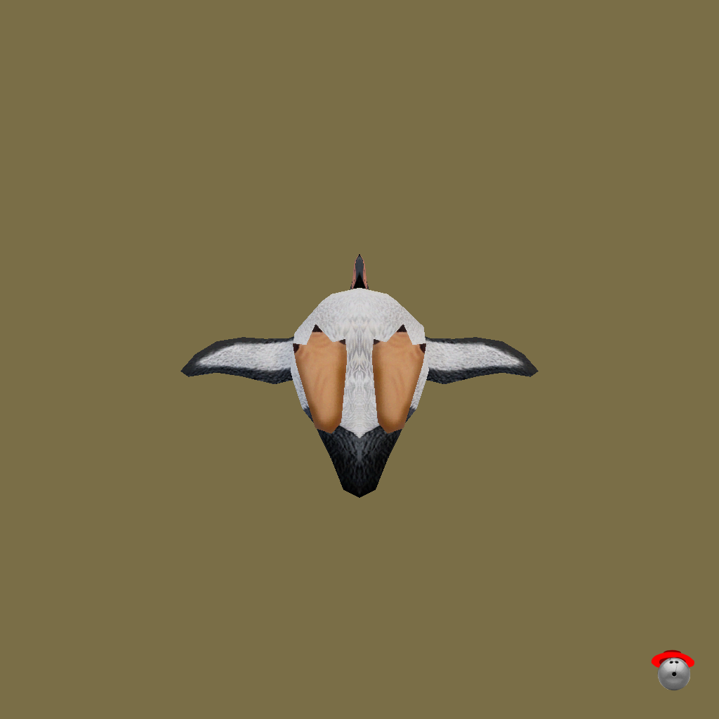 Emperor Penguin - Straight Bottom