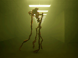 Backrooms ｜ Lifeform
