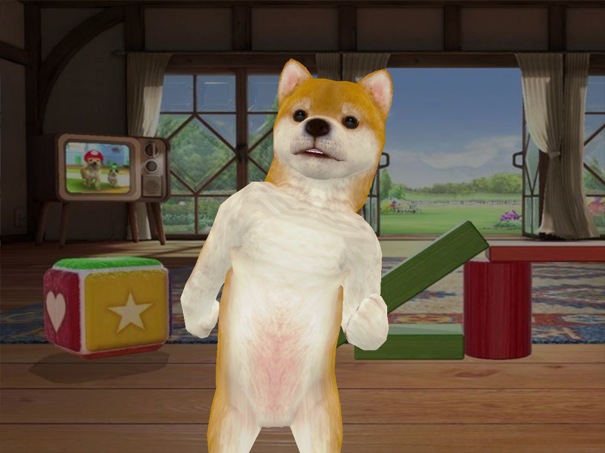 Shiba - Nintendog