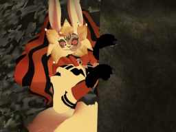 Sun bun suku public