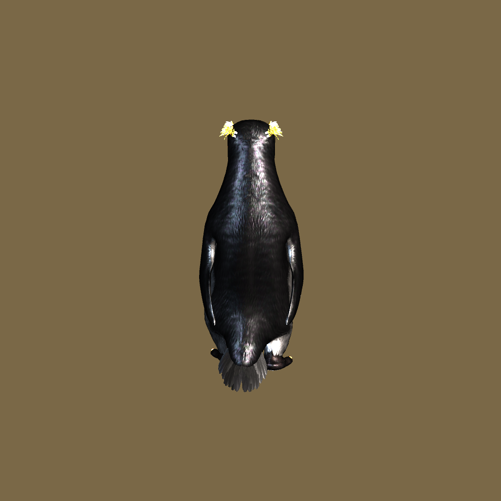 Penguin - Back