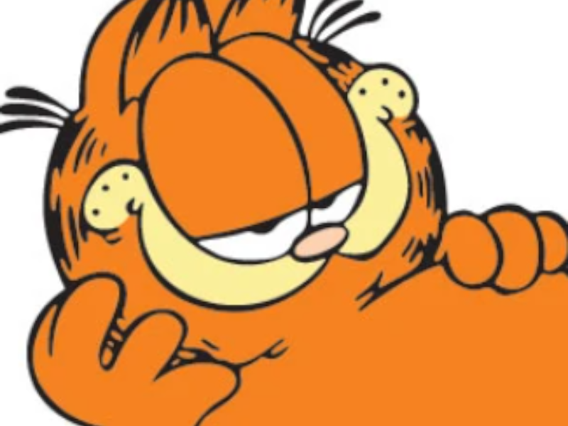 Garfield （Garfield and Friends）