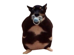 Fat Baby Dog