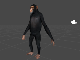 Chimp