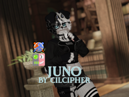 Juno Collie 2 SAMPLE ≺3