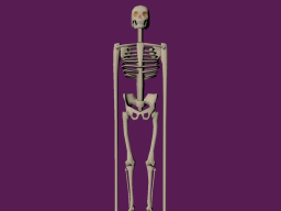 Lanky Bones
