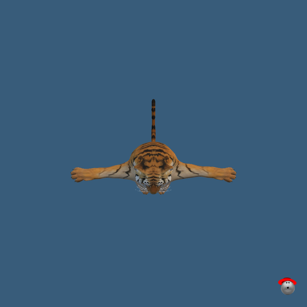 Daddy Tiger - Straight Top