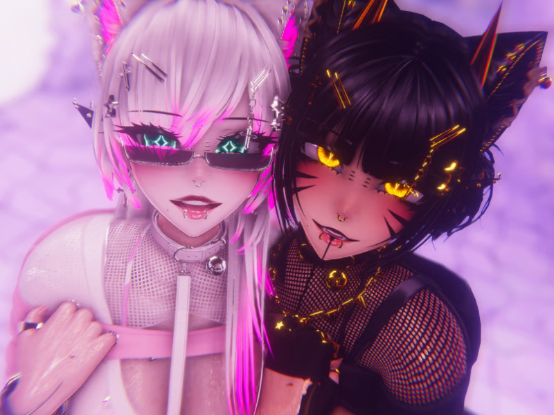 Raven_FT04_NoSus