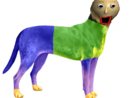 Baldi Dog