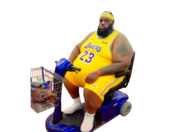 Lebron James Mobility Scooter