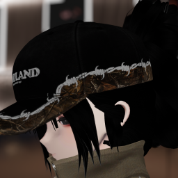 Feng