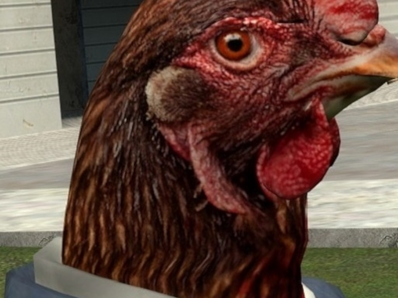Chicken Man