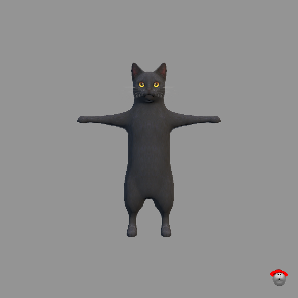 aDanza Cat Black - Front
