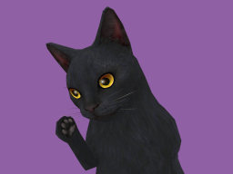aDanza Cat Black