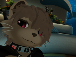 albino racoon mayu
