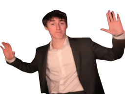 3FS