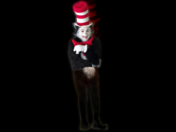 Cat In The Hat （Animated）