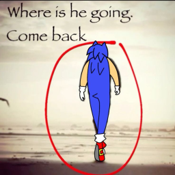 this is Sonic