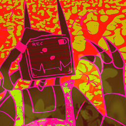 》SNAP DISGRACE․《