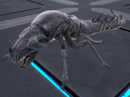 Reaper （Baby）