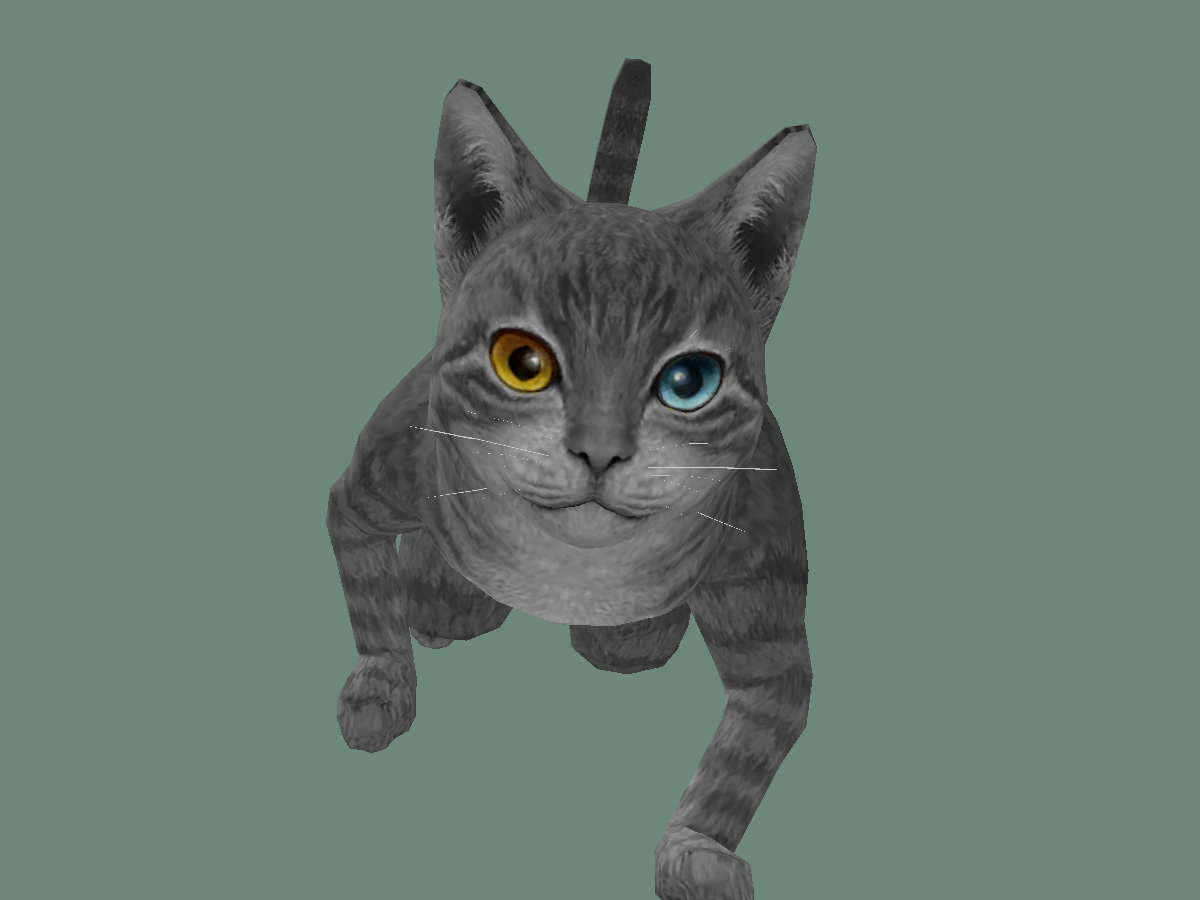 aDanza Cat Grey