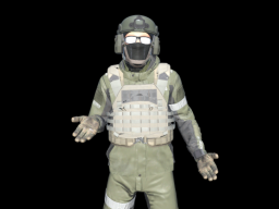 into the Radius 2 guy