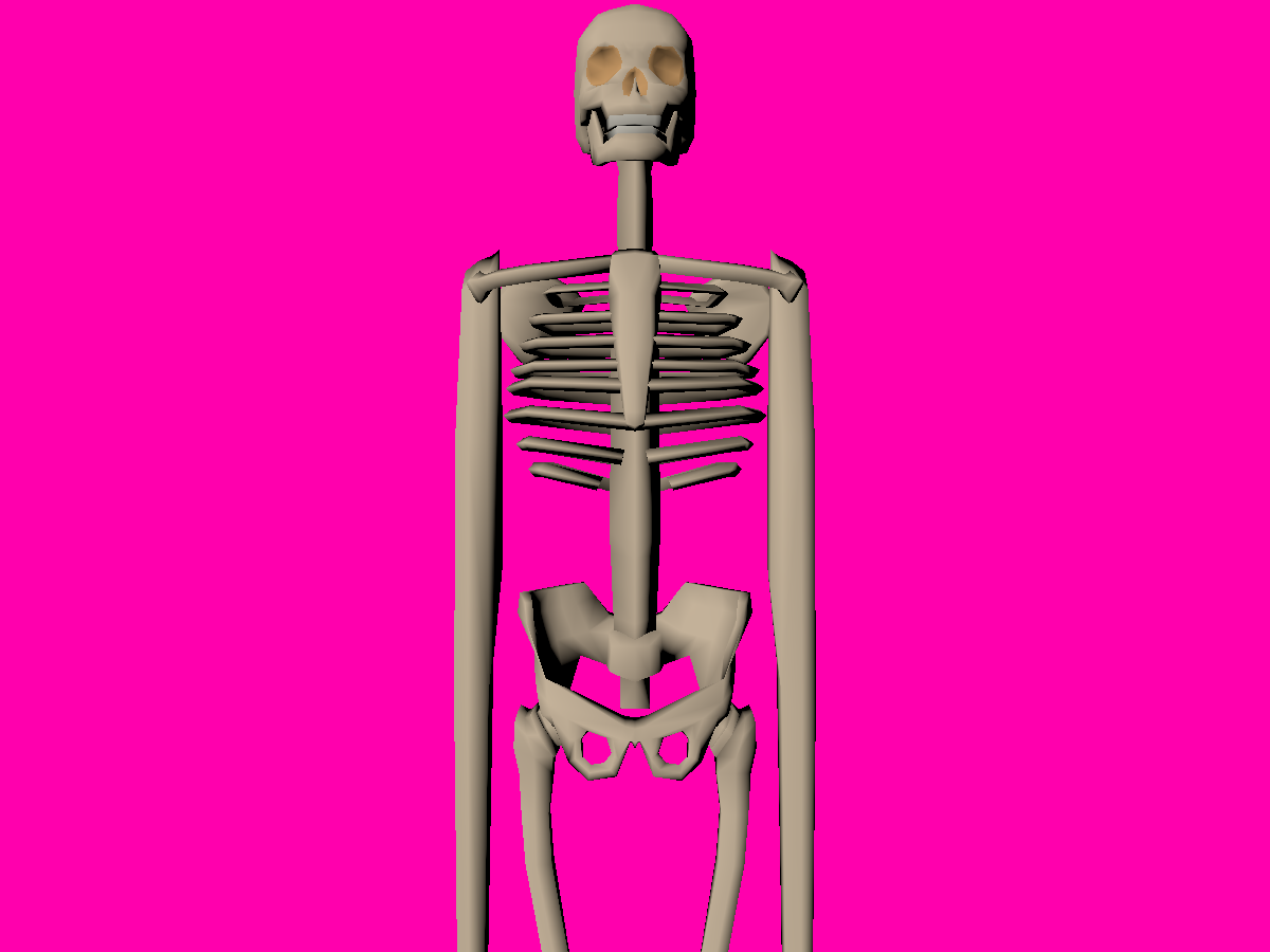 Short Arms Skeleton