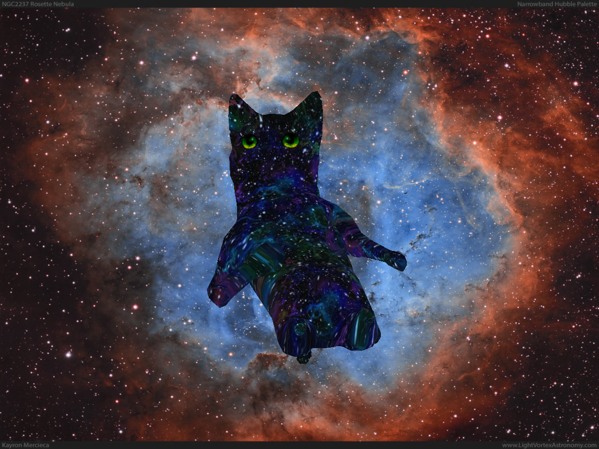 Space Cat