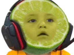 Shawn lime
