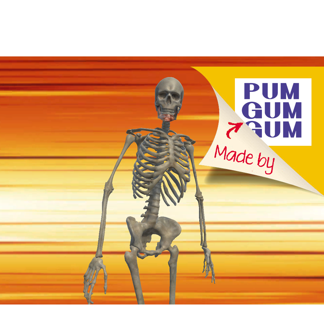 Skeleton