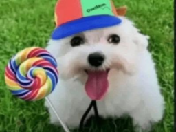 Doggie