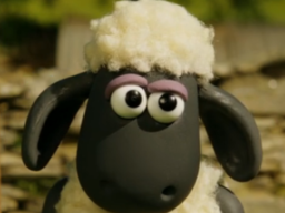 shaun
