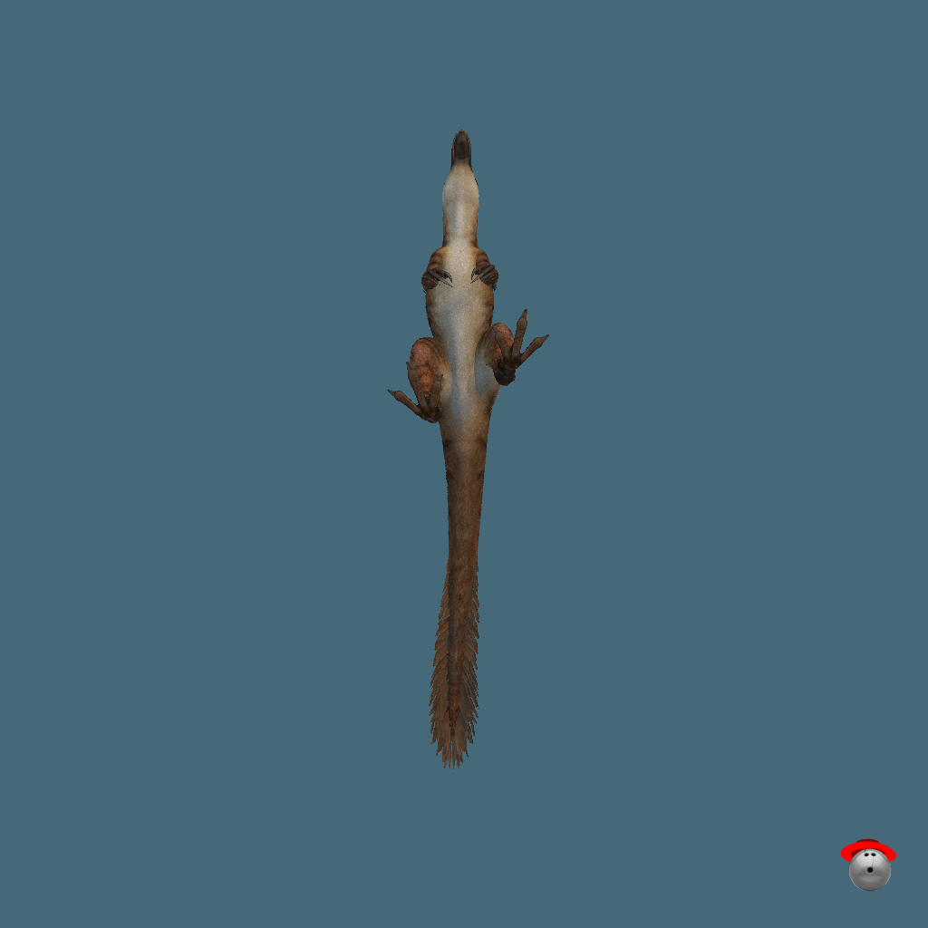 Yutyrannus huali （PC＆Quest） - Straight Bottom