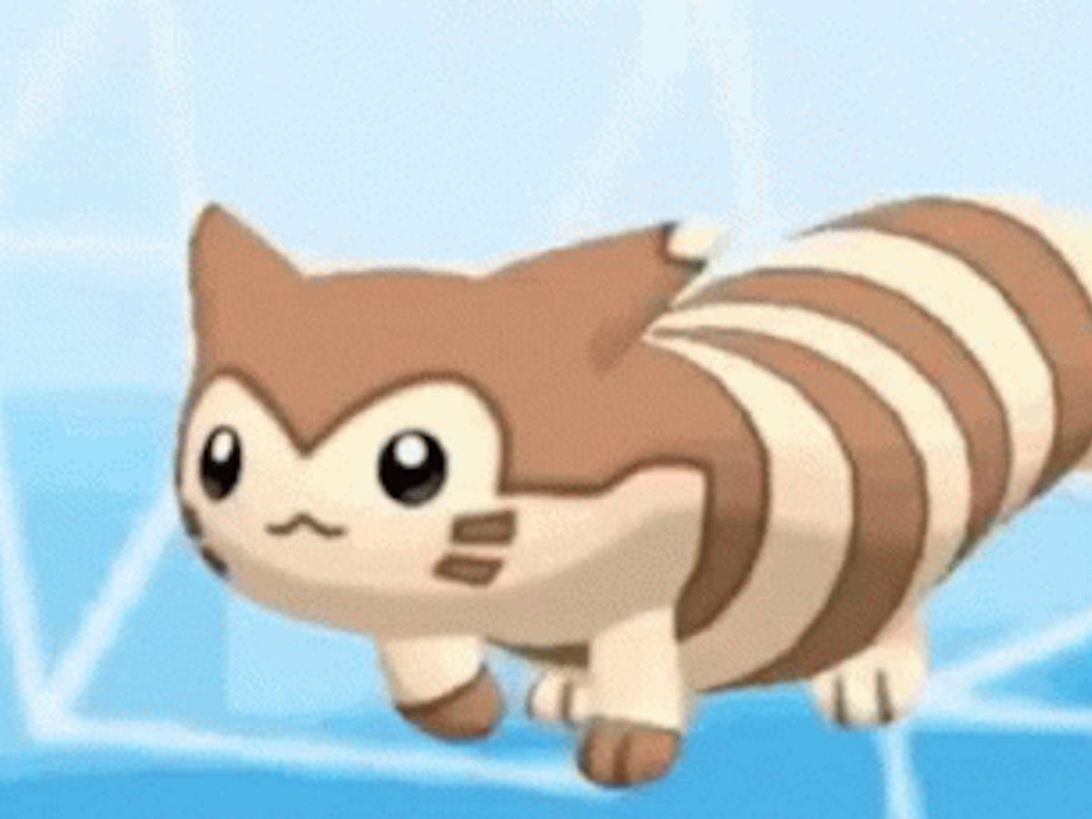 Furret （Pokémon X and Y）