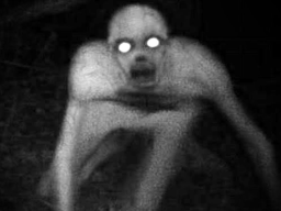 The Rake