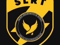 SLRT2․0