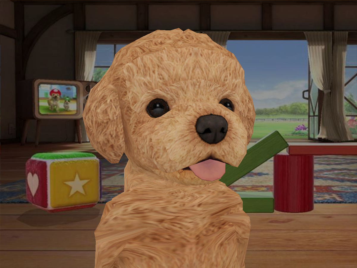 Poodle - Nintendog