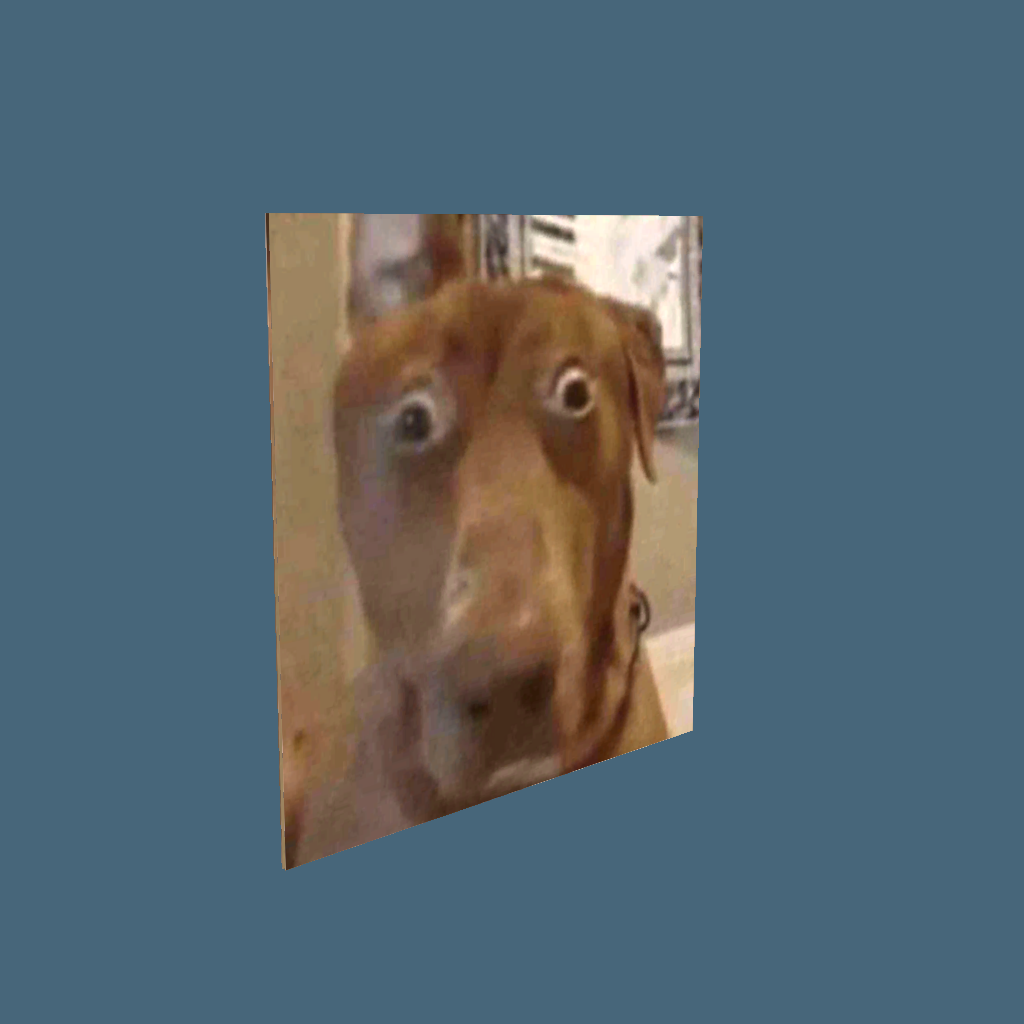 dog - Back Left