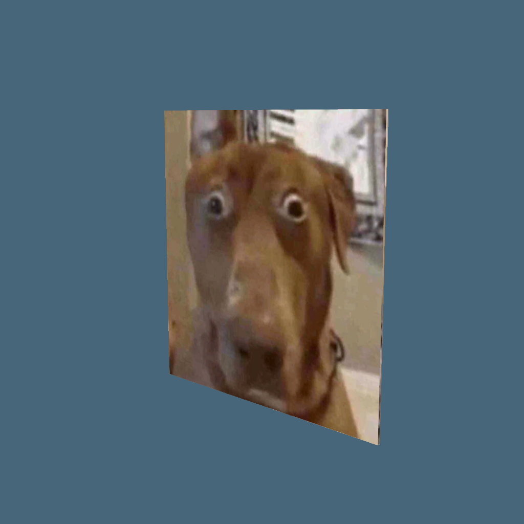 dog - Back Right