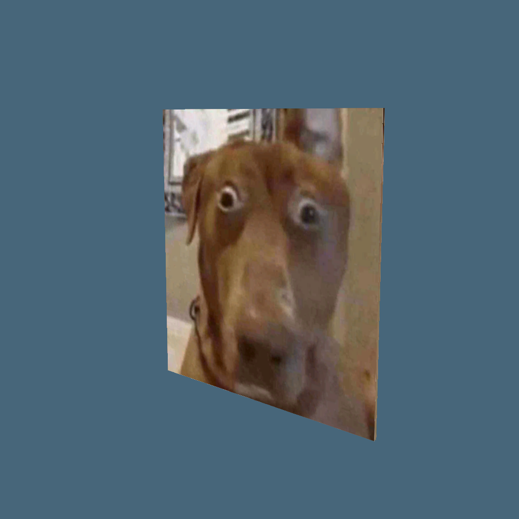 dog - Front Left