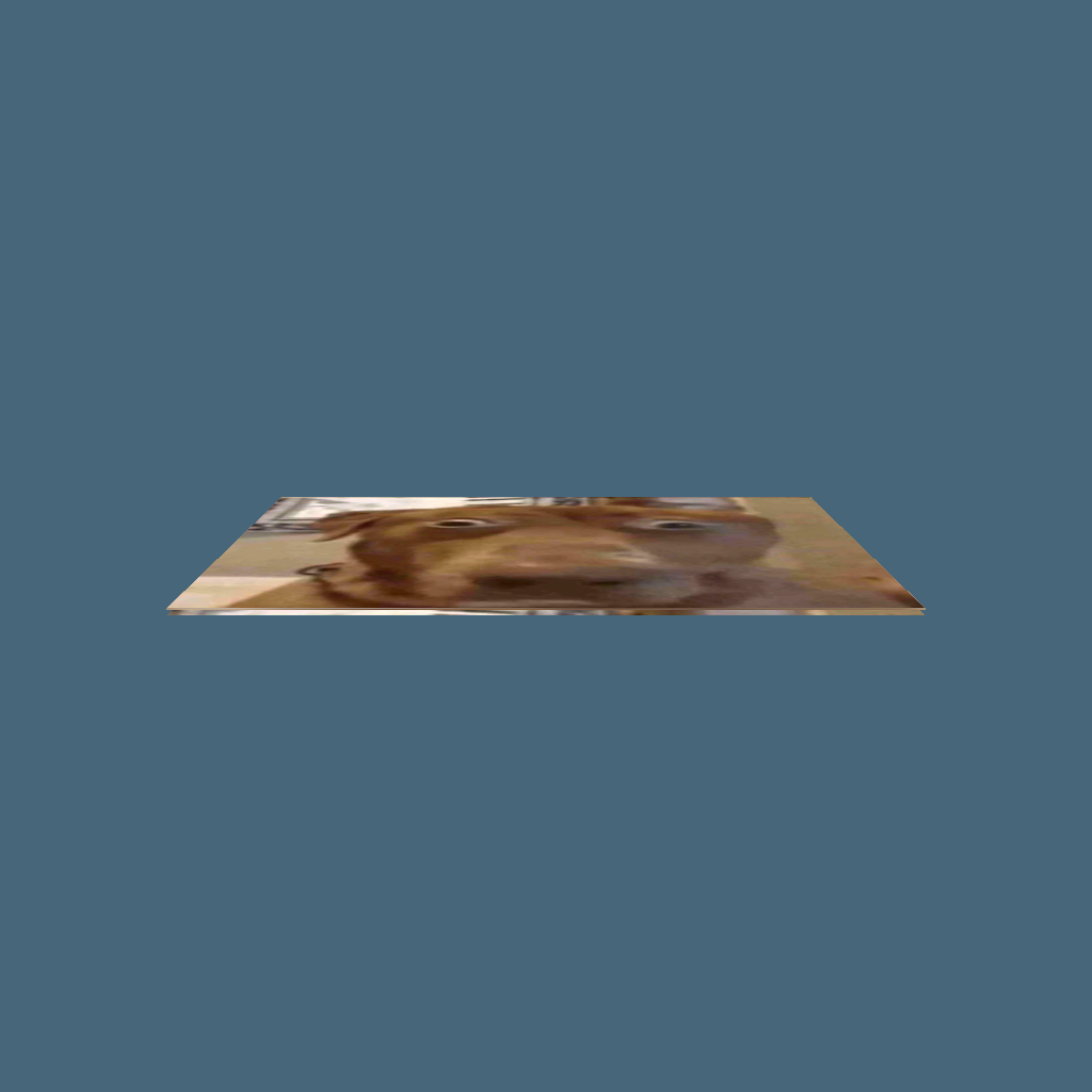 dog - Straight Bottom