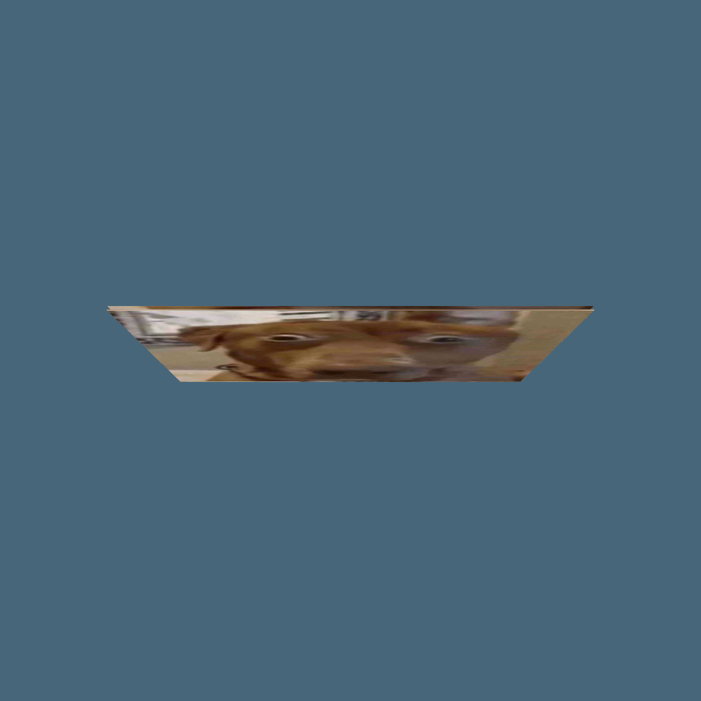dog - Straight Top